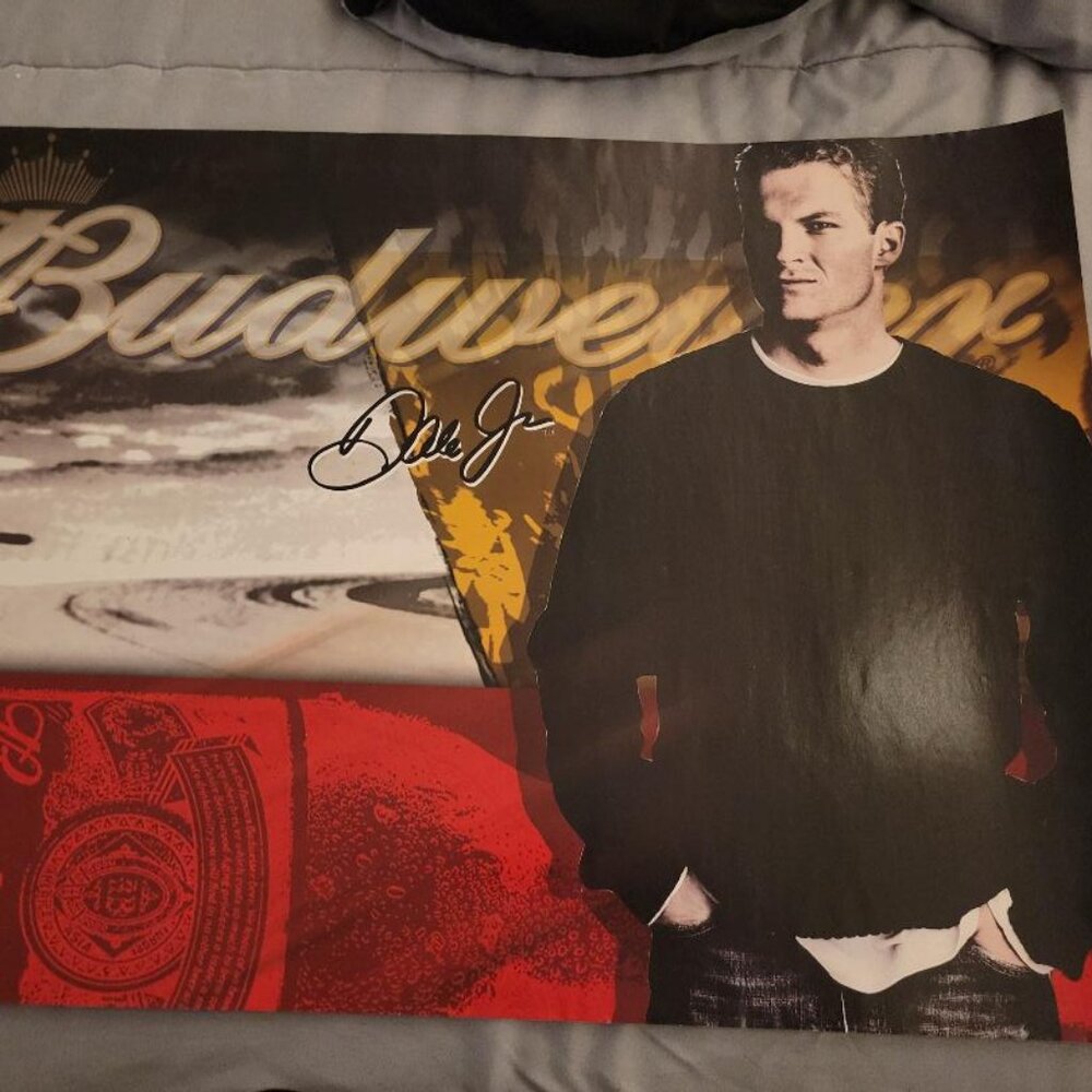 VINTAGE DALE JR BUD POSTER